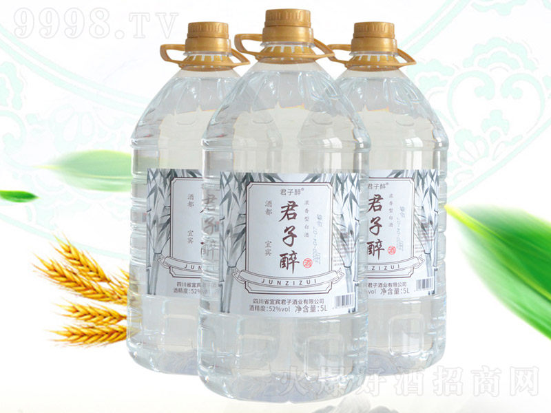 �������Ɲ����Ͱ׾ơ�52��5L��-�׾����Ϣ