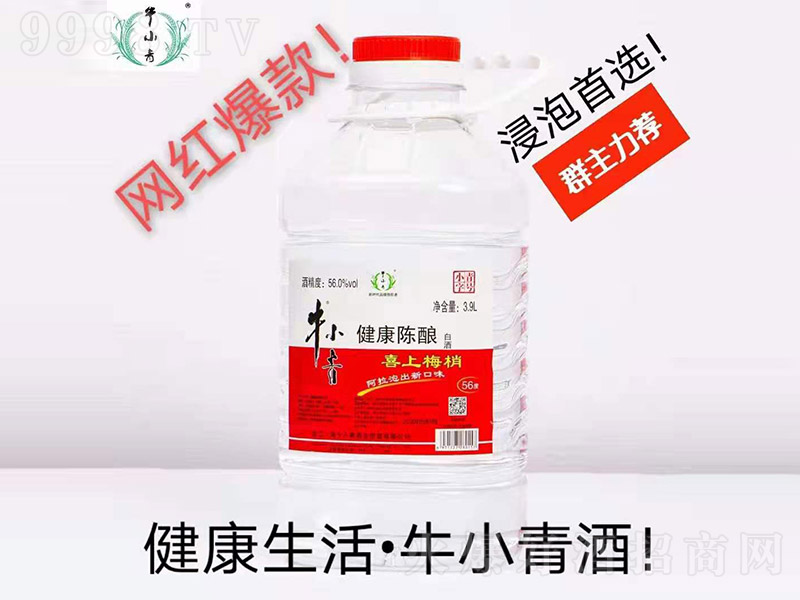 ţС���ᄾ�ϲ��ü�� �����Ͱ׾ơ�56�� 3.9L��-�׾�������Ϣ