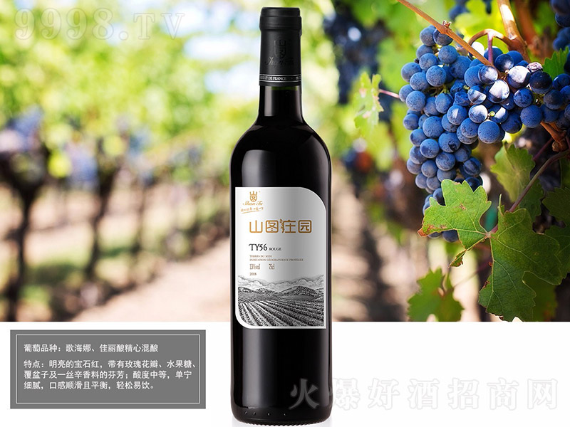 �ɼt���Ѿ�TY56��13�� 750ml��