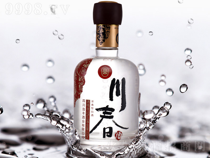 �����ƣ�2010� �����Ͱ׾ơ�52�� 500ml��