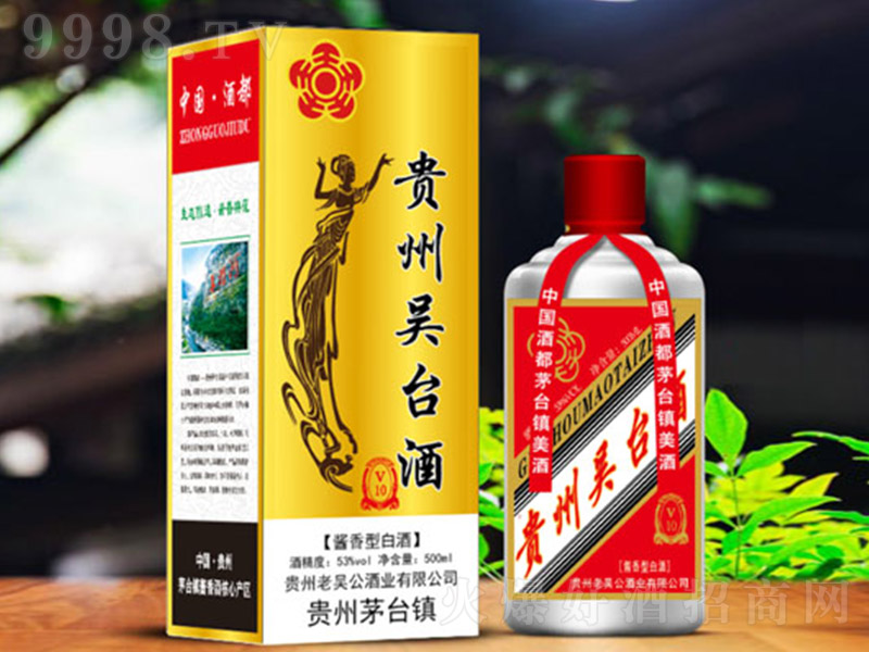 �F���υ��_(t��i)��v10 �u���Ͱ׾ơ�53�� 500ml��