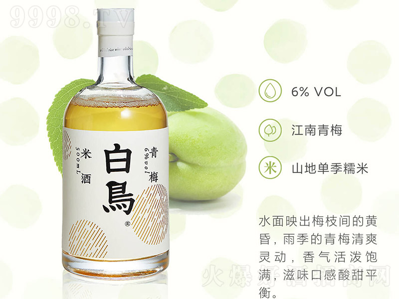 ���B��÷Ŵ�׾ƣ�ƿ����6�� 500ml��