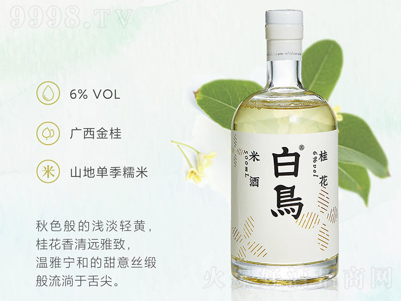 ���B��Ŵ�׾ƣ�ƿ����6�� 500ml��-�خa(ch��n)��������Ϣ