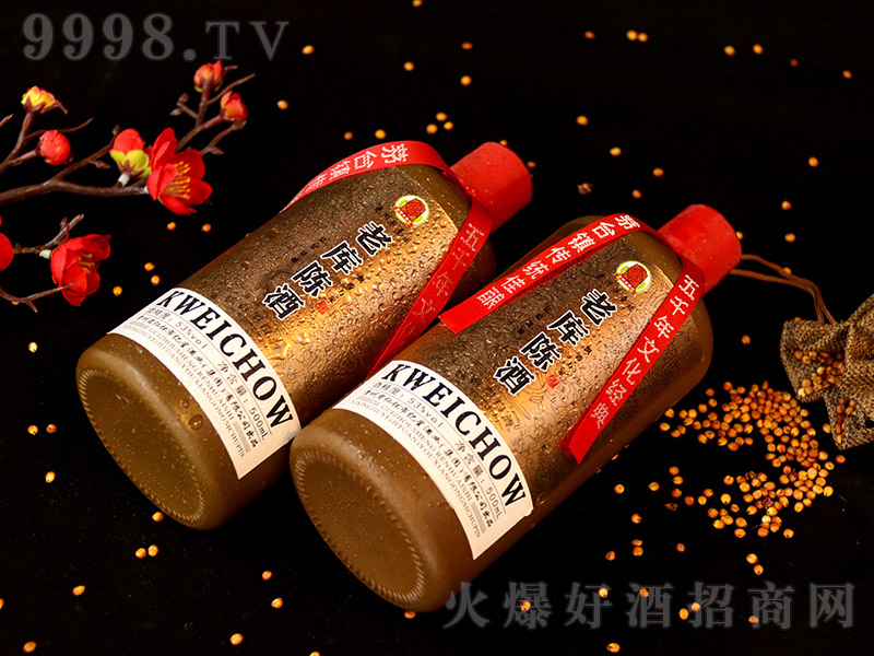 �ώ�ꐾƼ�ᄣ�ƿ�� �u���Ͱ׾ơ�53�� 500ml��