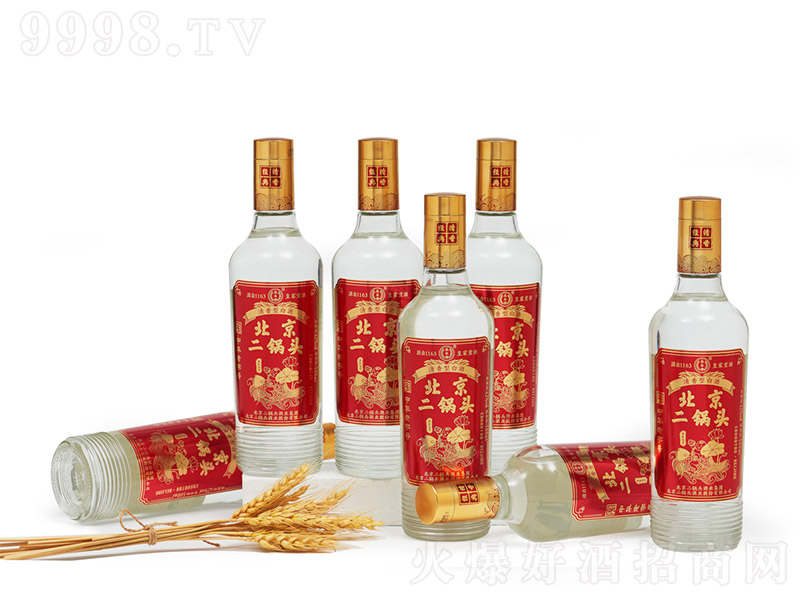 ���S�Ʊ�������^��������t�� �����Ͱ׾ơ�42�� 500ml��