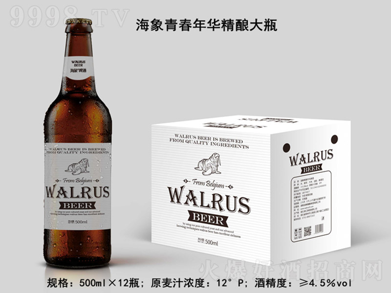 �����ഺ���A���ơ�ƴ�ƿ��12�� 500ml��