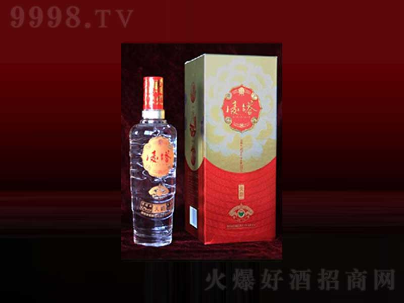 ������퍾Ɲ����͡�40��500ml��