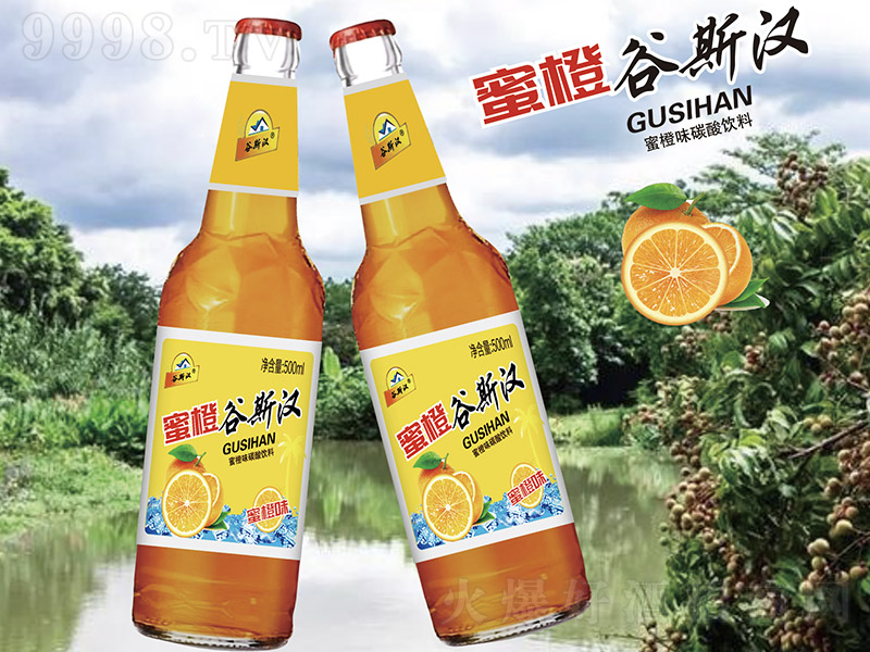 ��˹?ji��)h��ơ��ϣ��۳�ζ��-��ˮ��500ml��