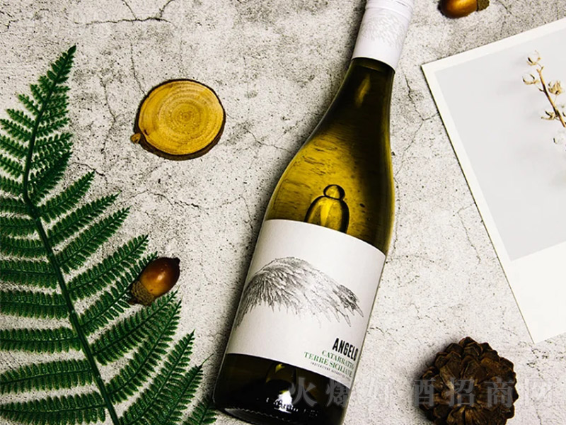 ��ʹ֮��������u�ɰ����Ѿơ�13�� 750ml��