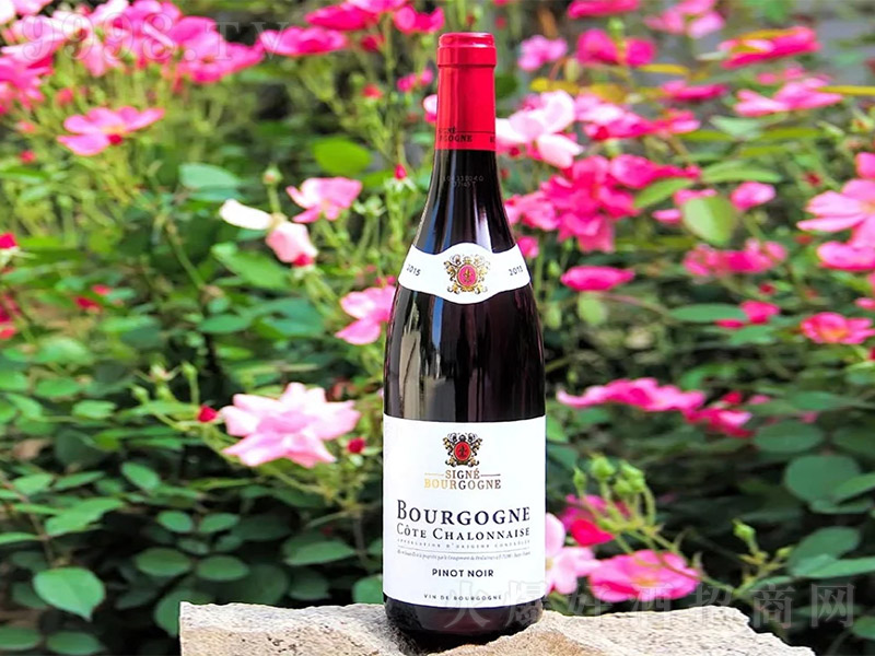 �w�²��޵ں�Ƥ�Z�ɼt���Ѿơ�13�� 750ml��