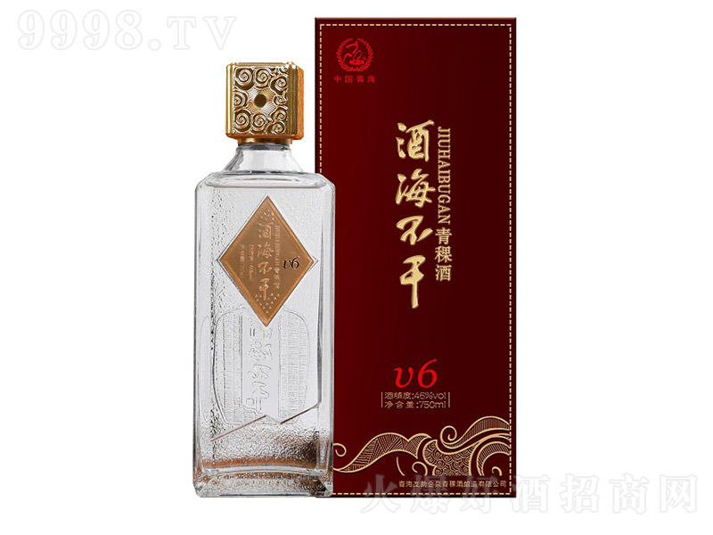 �ƺ�����V6�� �����͡�46 750ml��