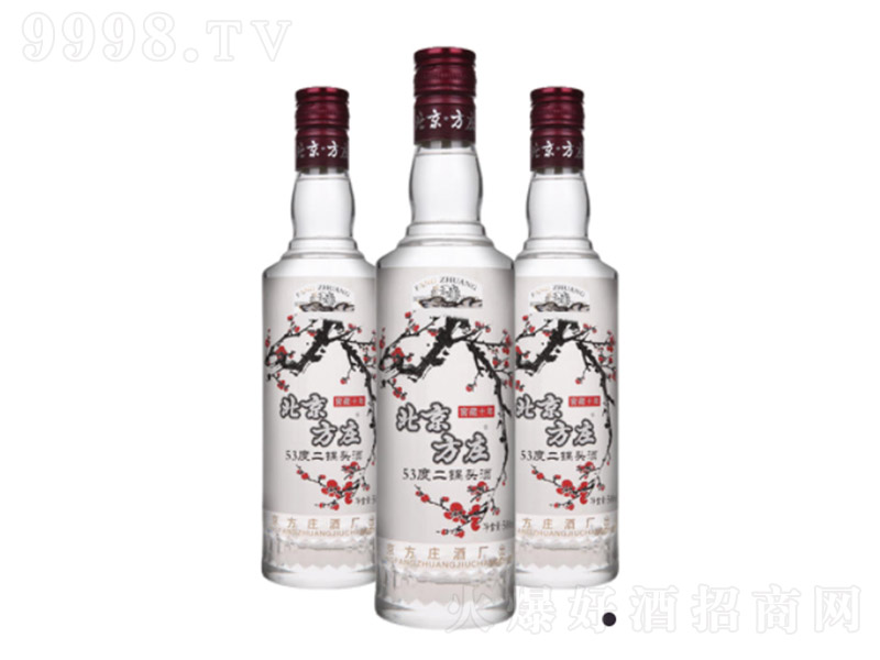 �������f����^��÷�_���� �����͡�53�� 500ml��