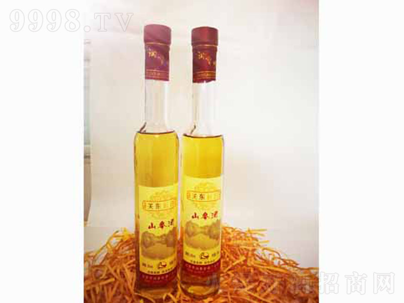 �P(gu��n)�|�L��ɽ�˅���