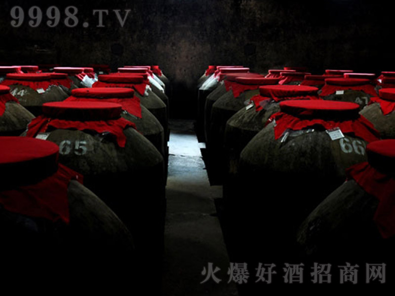 �o�h�Ͼ� �����͡�52��500ml��