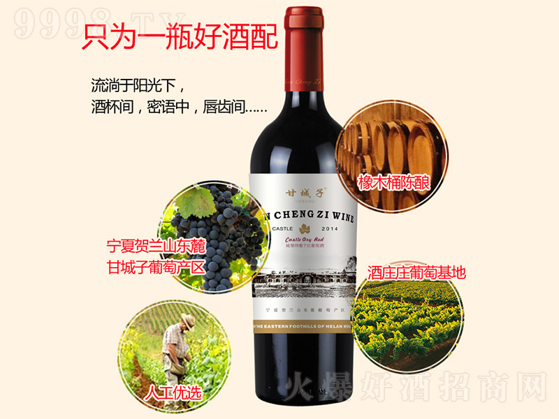 �Ǳ���ᄸɼt���Ѿơ�750ml��-�t��������Ϣ