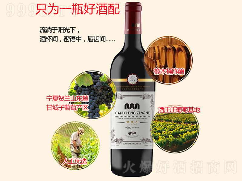 ��ʿ֮·�ɼt���Ѿơ�750ml��-�t��������Ϣ