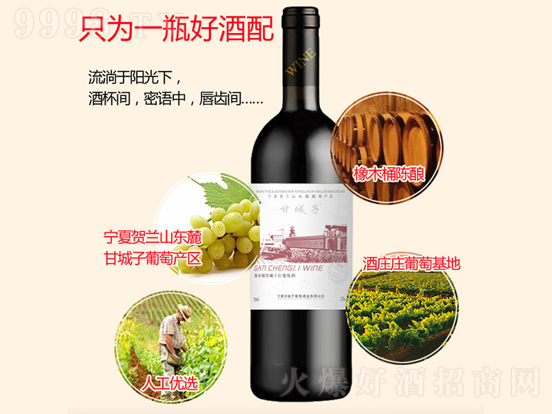 ��ľͰ�Ѳظɼt���Ѿơ�750ml��-�t��������Ϣ