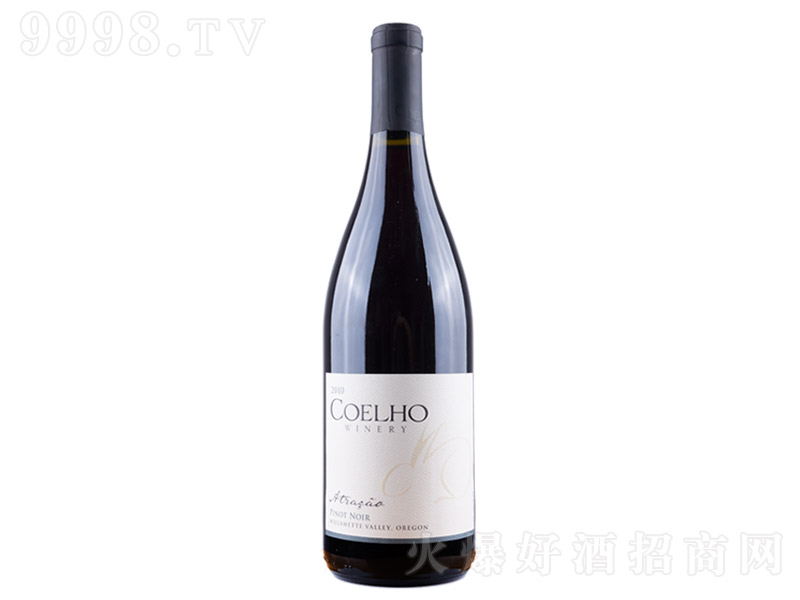 �ư�¶��غ�Ƥ�Z�t���Ѿ�2009�꡾13�� 750ml��