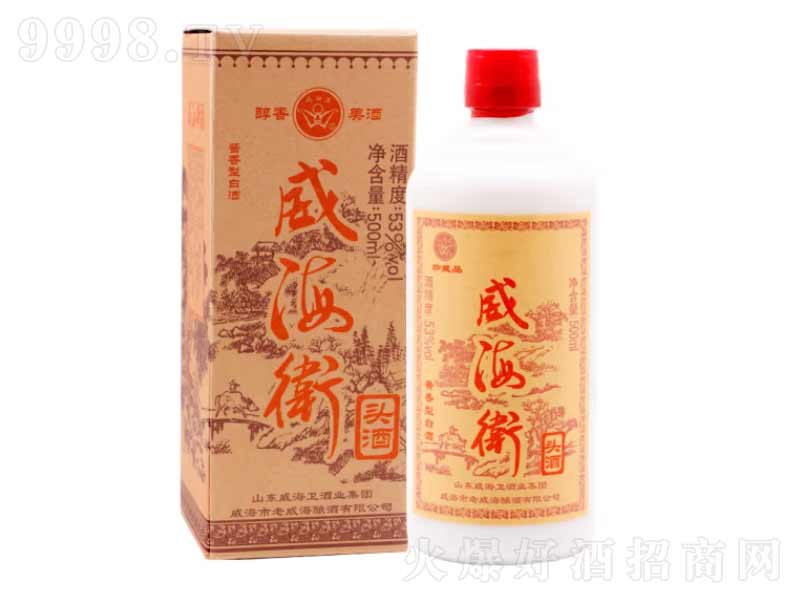 ɽ�|�خa(ch��n)�����l(w��i)�^���u���;ơ�53��500ml��-�׾�������Ϣ