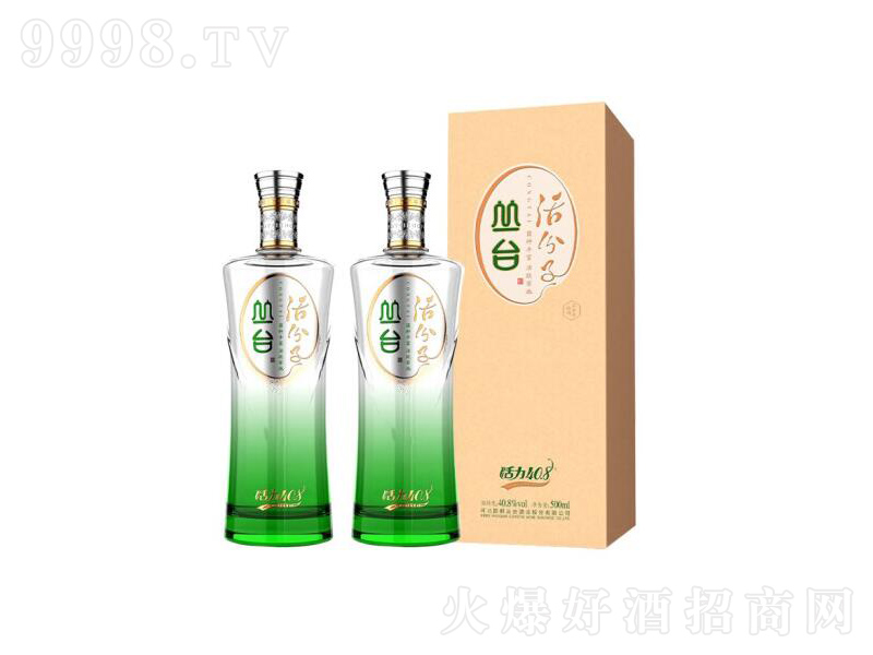 ���_(t��i)�����p�ɻ���ӝ����;d���͡�40.8��500ml��