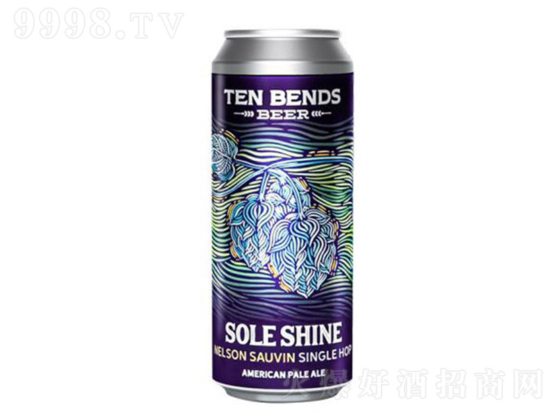 ������â����IPAơ��500ml