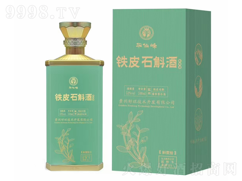 �A�ɷ��FƤʯ������Ҽʰ�u���;ơ�53��500ml��