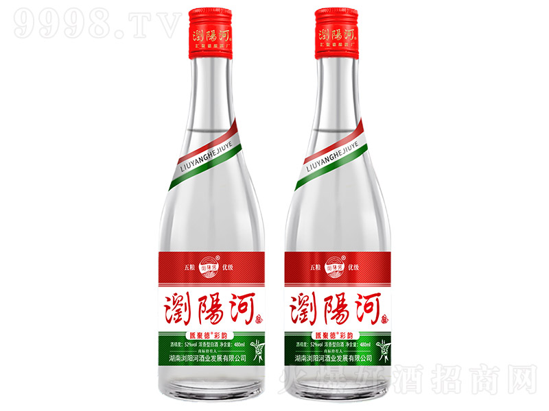 �gꖺӾơ��R�۵²�� �����͡�52�� 480ml��