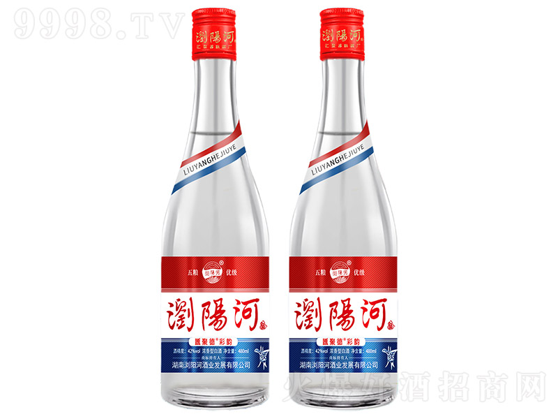 �gꖺӾơ��R�۵²�� �����͡�42�� 480ml��