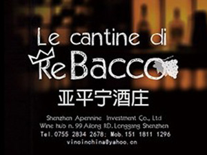 ���ځ�ƽ��Ͷ�Y�ɷ����޹�˾