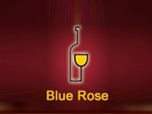 �Ϻ��{õ���M�����Q�����޹�˾