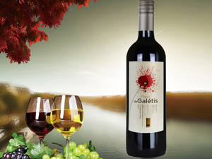 �Ϻ���(l��)��ƘI(y��)���޹�˾