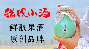 �F��؈�h����̄����޹�˾