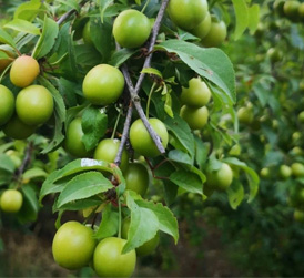 ��2000��vʷ�Ļ���Ʒ20��q����㣡