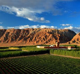 �½��������f���fʮ����2020�����(zh��n)����Ʒ�����(hu��)�ھ��e�k��