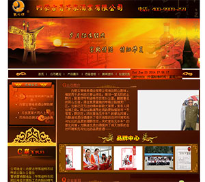 ���ɹ����Ȫ�ƘI(y��)���޹�˾