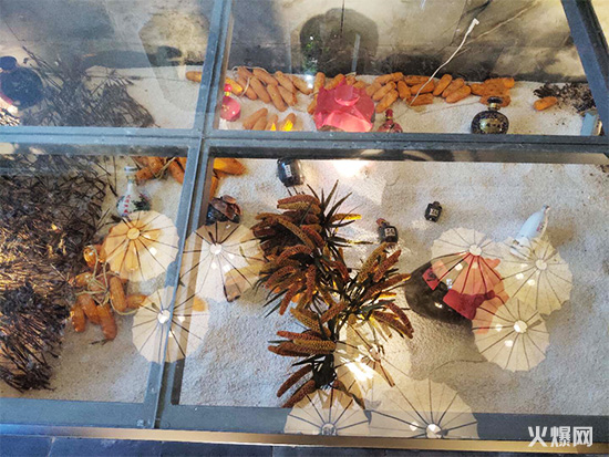 �𱬾W(w��ng)����ž����L��X���ؾƘI(y��)��������I(y��)�Ļ���