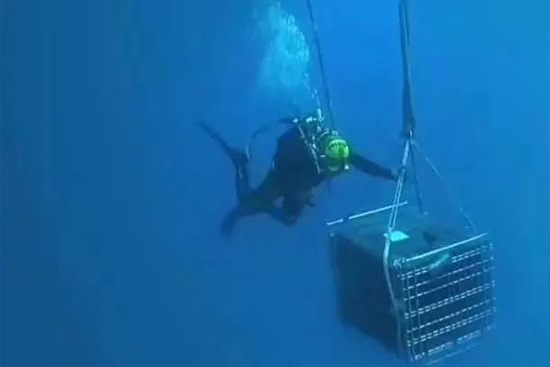 �����ƺ������(��i)����������Ҽ̖(h��o)��Ҋ(ji��n)�C�l(f��)���ں��׵�͑׃