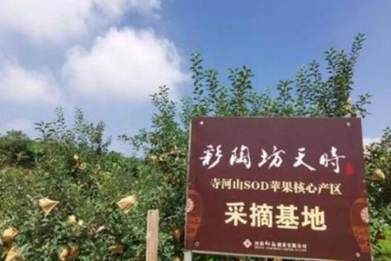 �����շ���r�º�ɽ�O����ժ���ؒ��ƃxʽ�������T�{�`���ɹ��e�k��