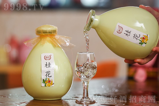 12���S�ϻ����ƃr���S�Ϲ𻨾ƵͶȻ�����500ml�r�񣬶����X��