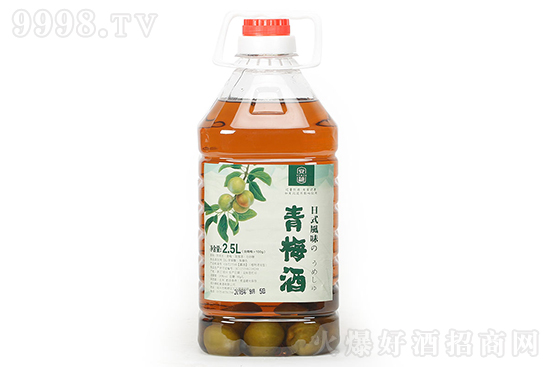 ����(w��n)��ʽ��÷��Ͱ�b2.5L