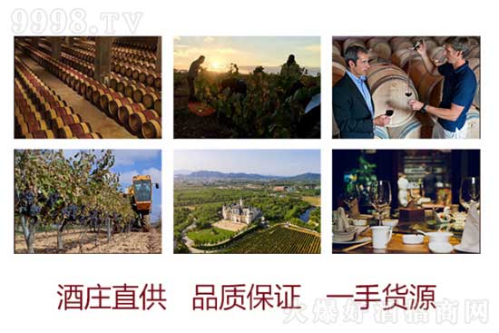 ʮ�ֳǱ��ɼt���Ѿ�