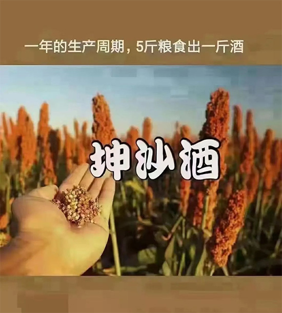 �u���������u�u�ƣ���500+��(j��ng)�N���ѓ�(j��)��Ʒ�Ʈ�܊ͻ�𣬿��پ����