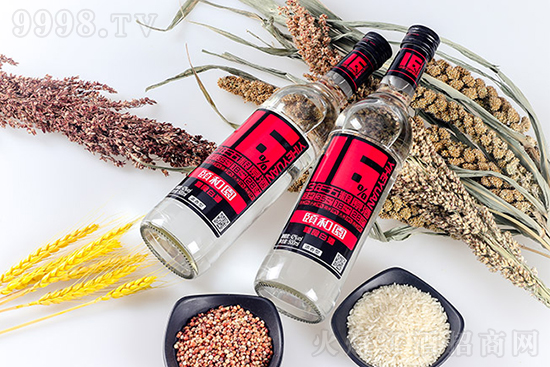 �U�͈@��ƿ���Z�׾�