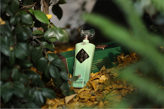 ʮ�������ľ������а���Ո��(w��)��Ҫ��̖������