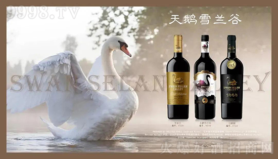 �Ϻ������ƘI(y��)