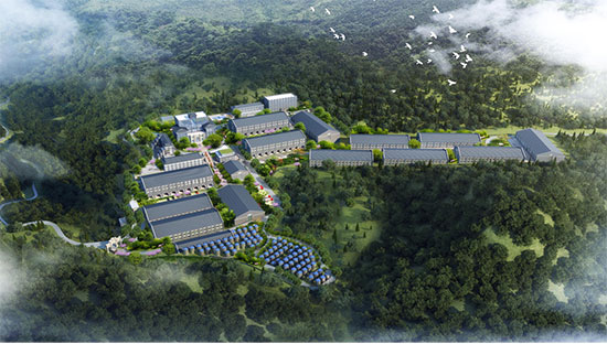 é�_�(zh��n)����ǰʮ�ľƏS���F�ݹ�ᄷ��ƘI(y��)��é�_�(zh��n)������