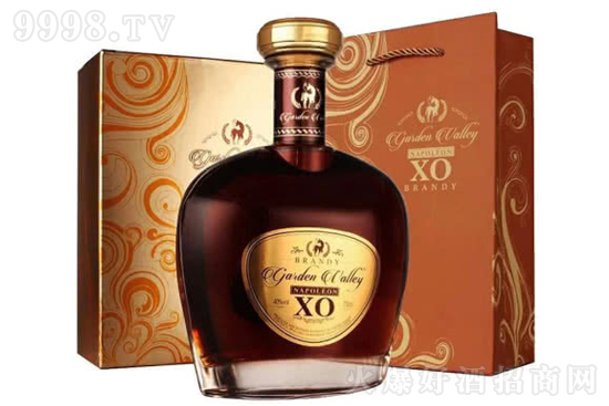 40�㷨�����Ɓ����@��XO���m��700ml�r���������X��
