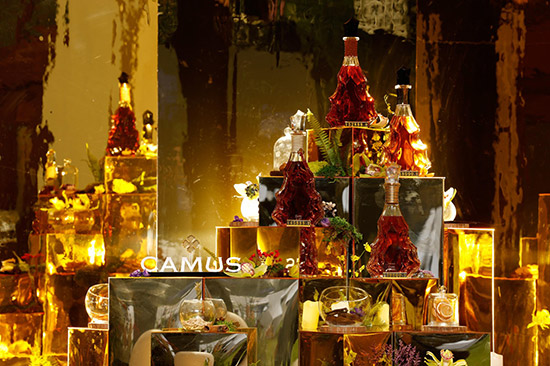 ��Ľ����c����s ��ħ��ɭ�֡� ���܂��а���Ľ�(j��ng)������