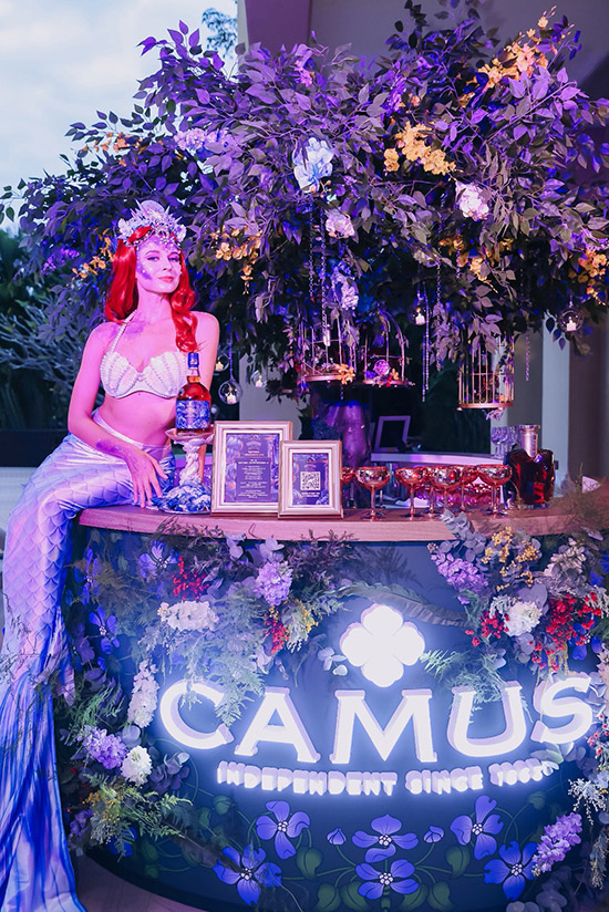 ��Ľ����c����s ��ħ��ɭ�֡� ���܂��а���Ľ�(j��ng)������