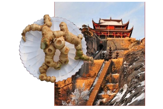 �_��(chu��ng)�ݱ����S��Ʒ�|Ϫ�زݱ����S�Ɣث@2023����A�ױ������s